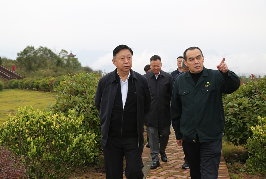 19-2021年10月，原國土資源部副部長汪民蒞臨公司調(diào)研。.jpg