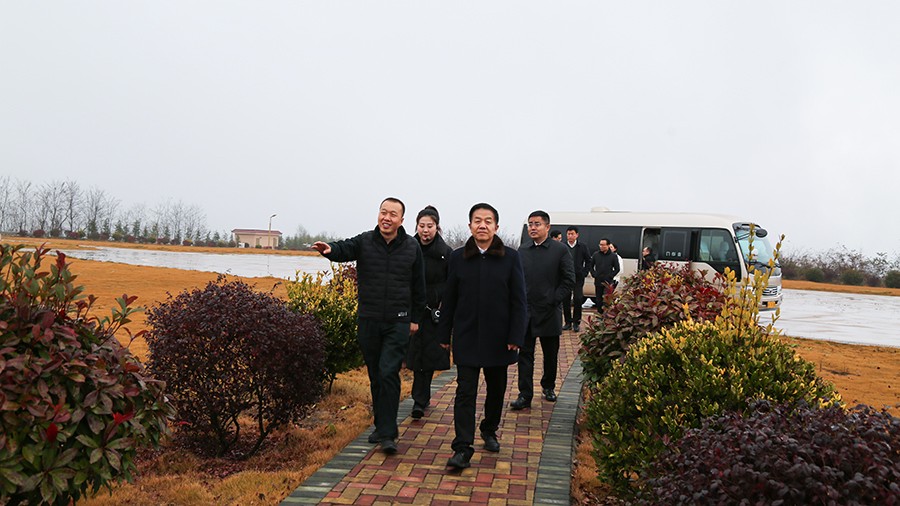 45-2020年12月，省高級人民法院黨組成員、副院長任建國蒞臨金徽股份調(diào)研知識產(chǎn)權(quán)司法保護(hù)工作。.jpg